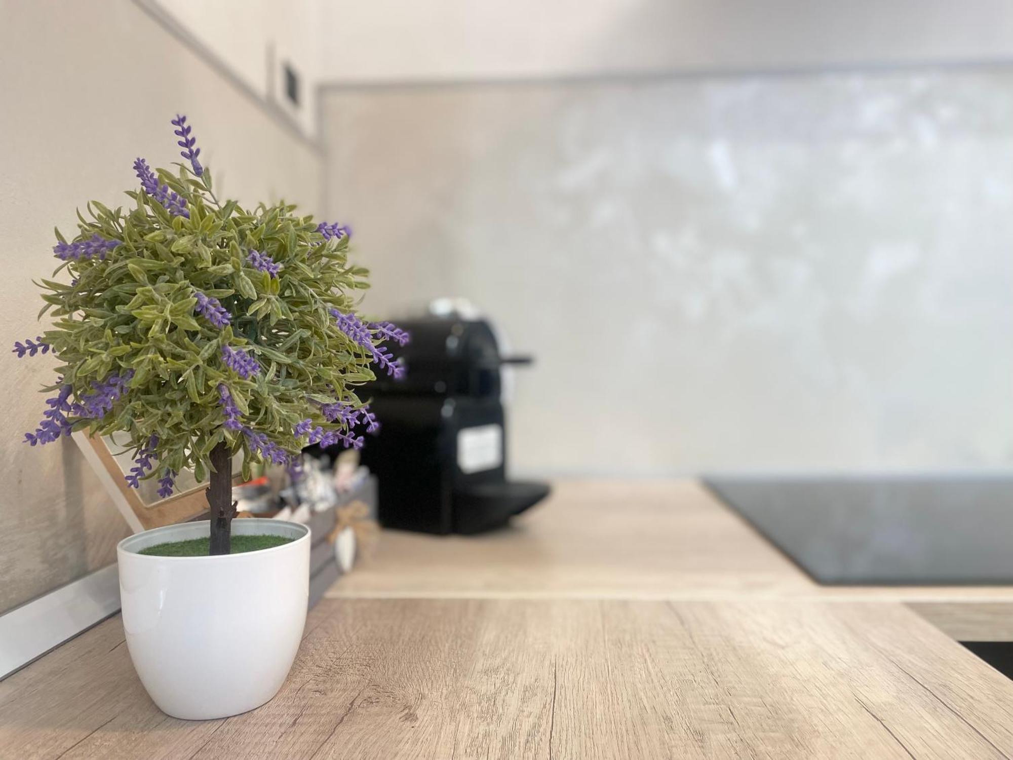 Mazzini 12 Very Central Apartment With Private Garage, Air Conditioning, Wifi, Just 50 Meters From The Beach 라팔로 외부 사진