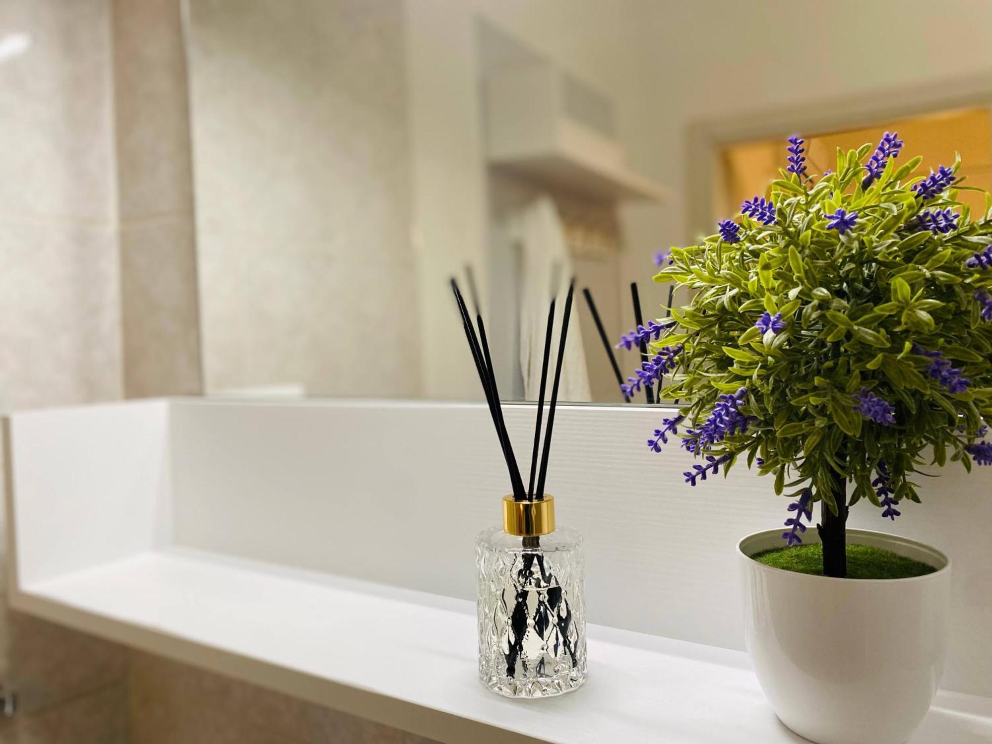 Mazzini 12 Very Central Apartment With Private Garage, Air Conditioning, Wifi, Just 50 Meters From The Beach 라팔로 외부 사진